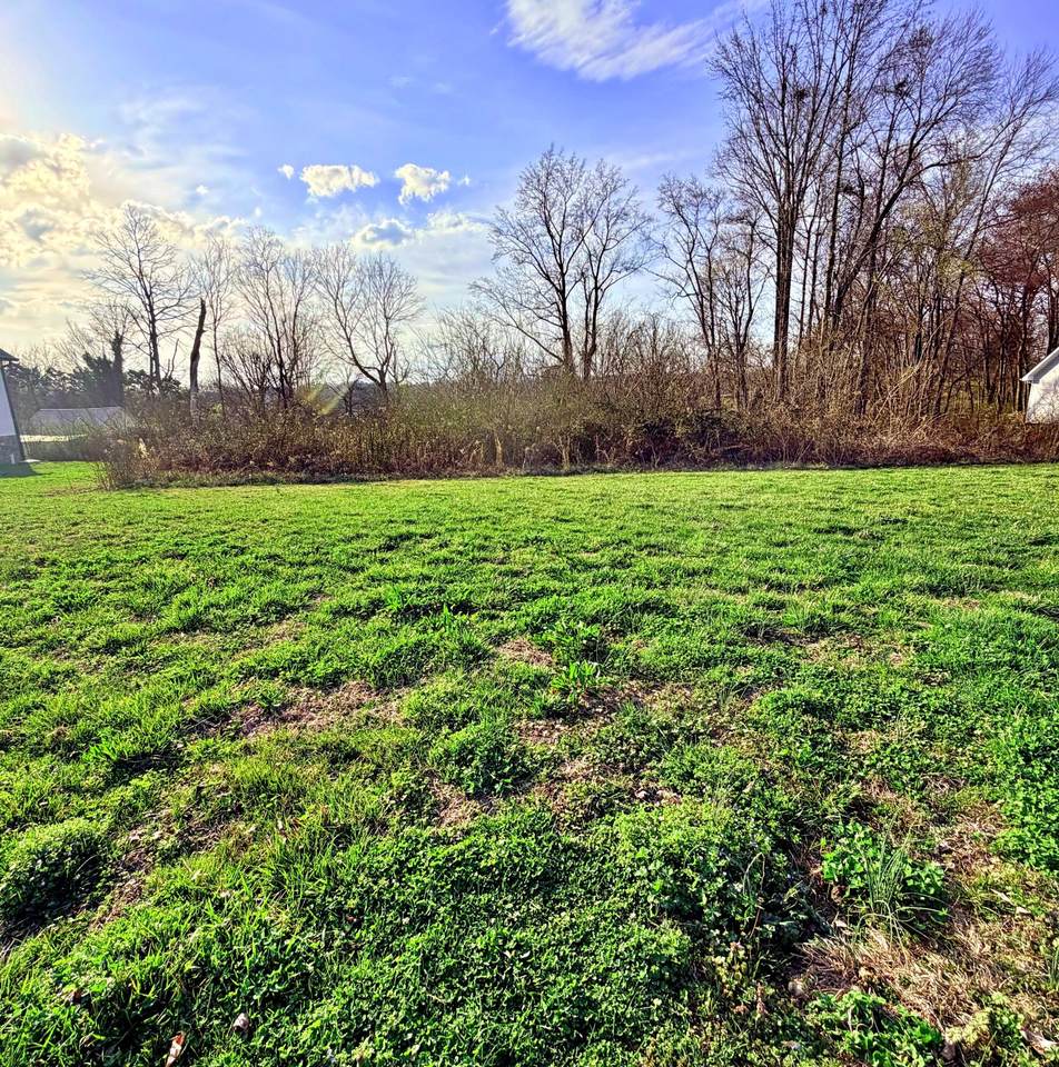 103 Shadows Lawn Drive - Photo 1