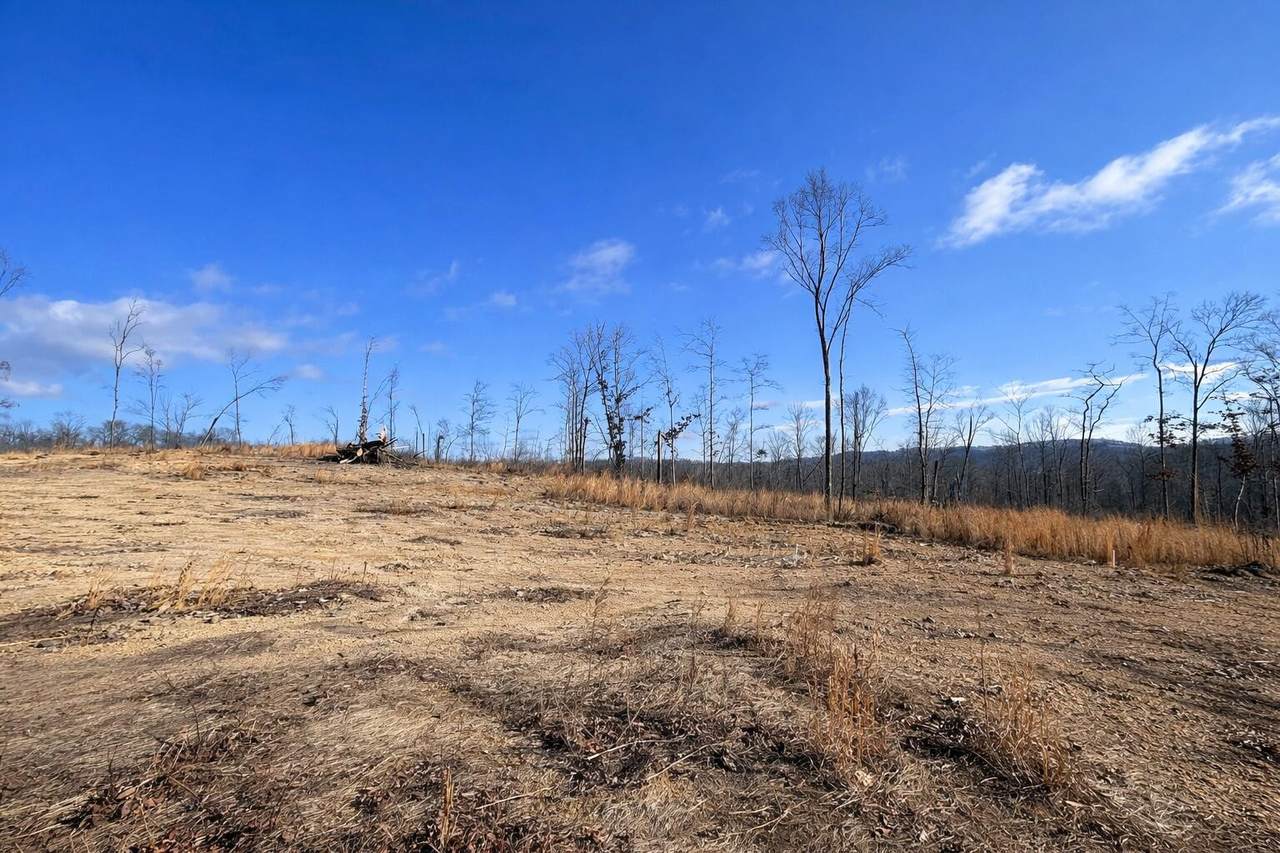 2734 River Road - Photo 1