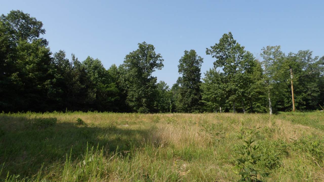 580 Pleasant Cemetery Lane - Photo 1