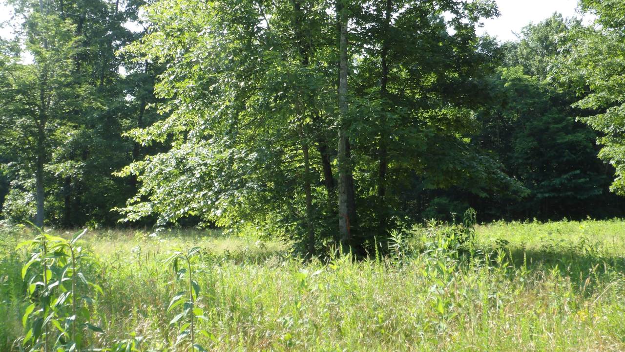 https://bt-photos.global.ssl.fastly.net/nashville/1280_boomver_1_RTC3249000-1.jpg