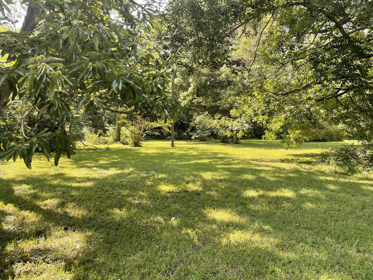 4553 Spring Place Road - Photo 1