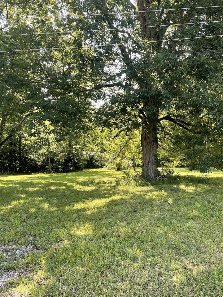 https://bt-photos.global.ssl.fastly.net/nashville/1280_boomver_1_RTC3249002-1.jpg