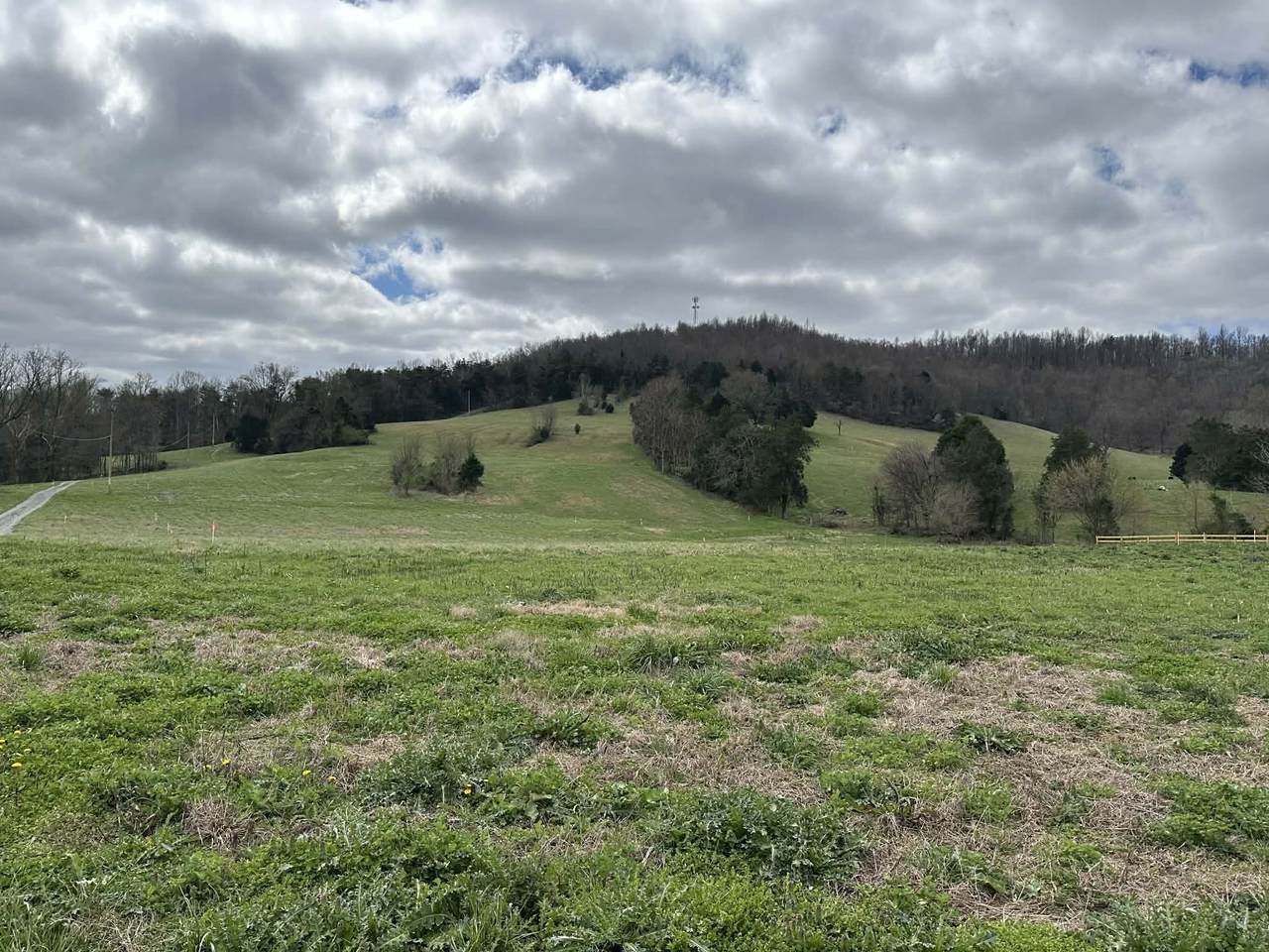 https://bt-photos.global.ssl.fastly.net/nashville/1280_boomver_1_RTC3250237-1.jpg