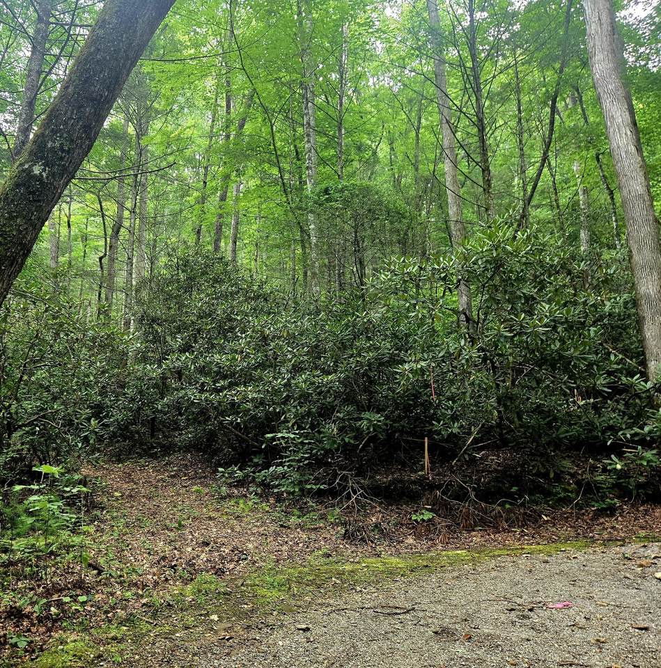 0 Holder Cemetery Road - Photo 1
