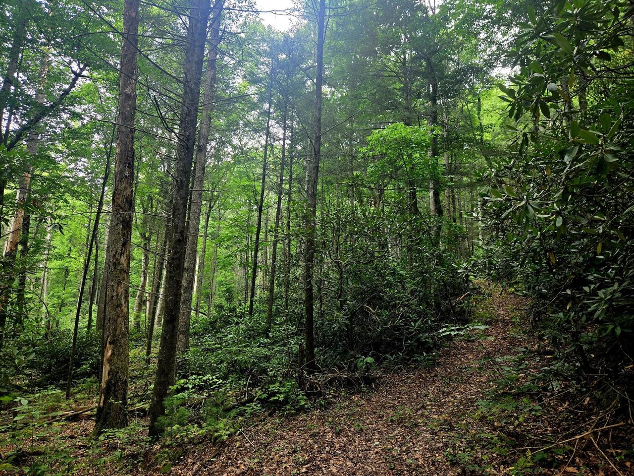 https://bt-photos.global.ssl.fastly.net/nashville/1280_boomver_1_RTC3250406-1.jpg