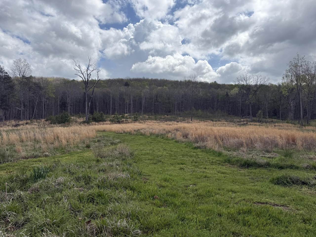 5 Calico Road - Photo 1