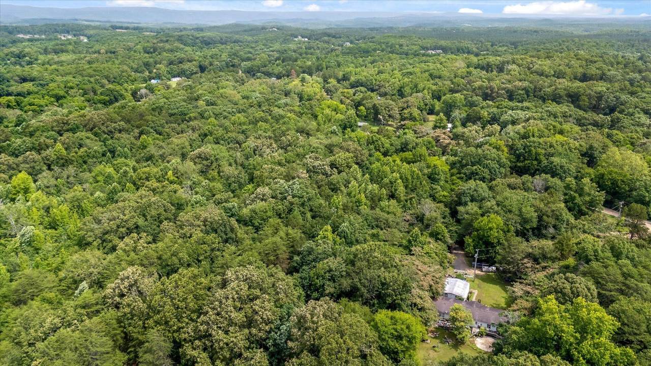 1906 Spradling Road - Photo 1