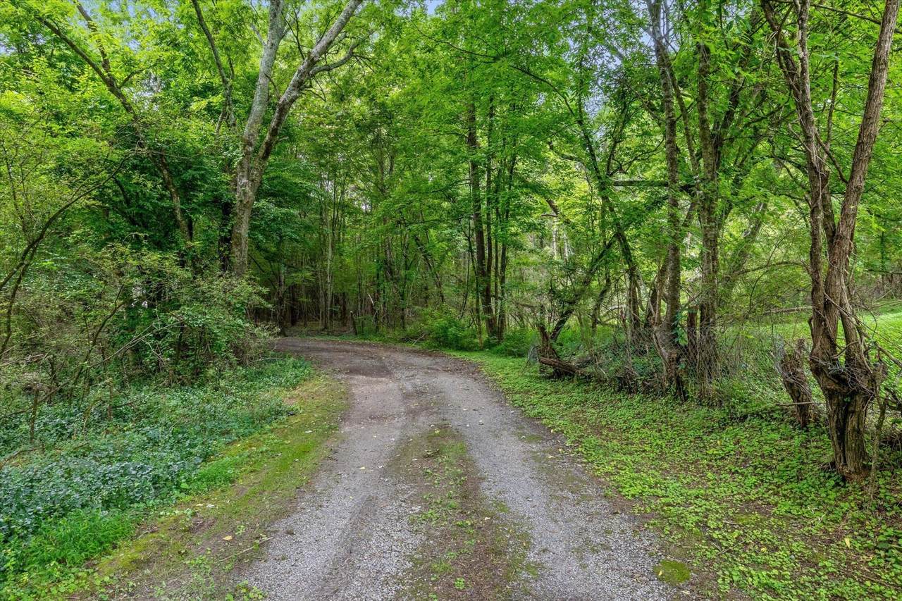 https://bt-photos.global.ssl.fastly.net/nashville/1280_boomver_1_RTC3250505-1.jpg