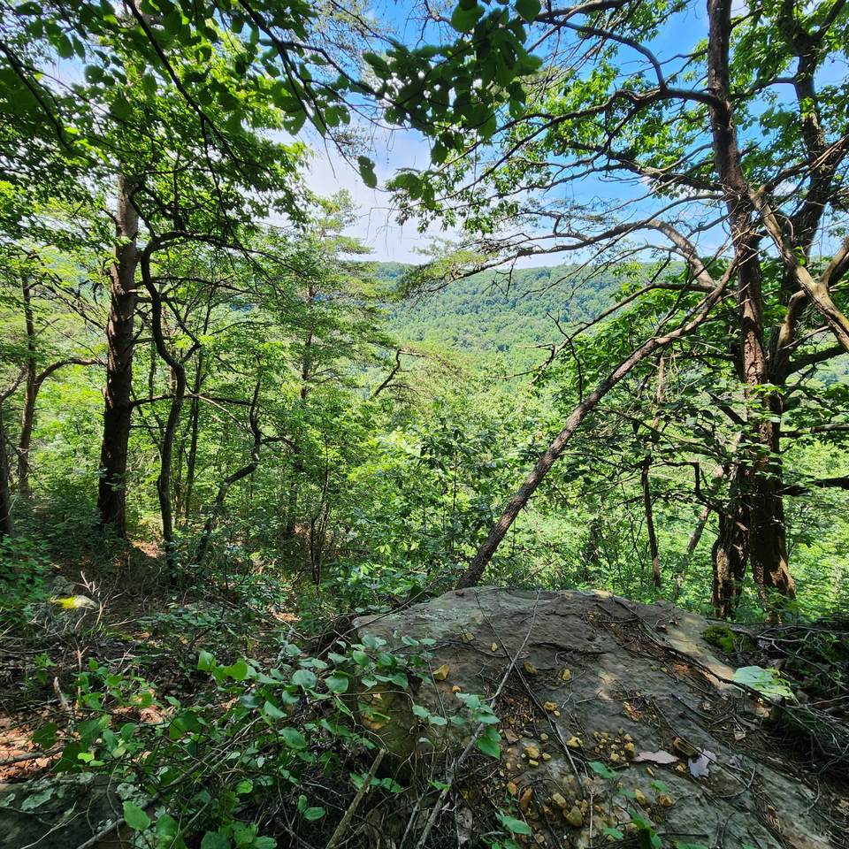 0 Eagle Point Drive - Photo 1