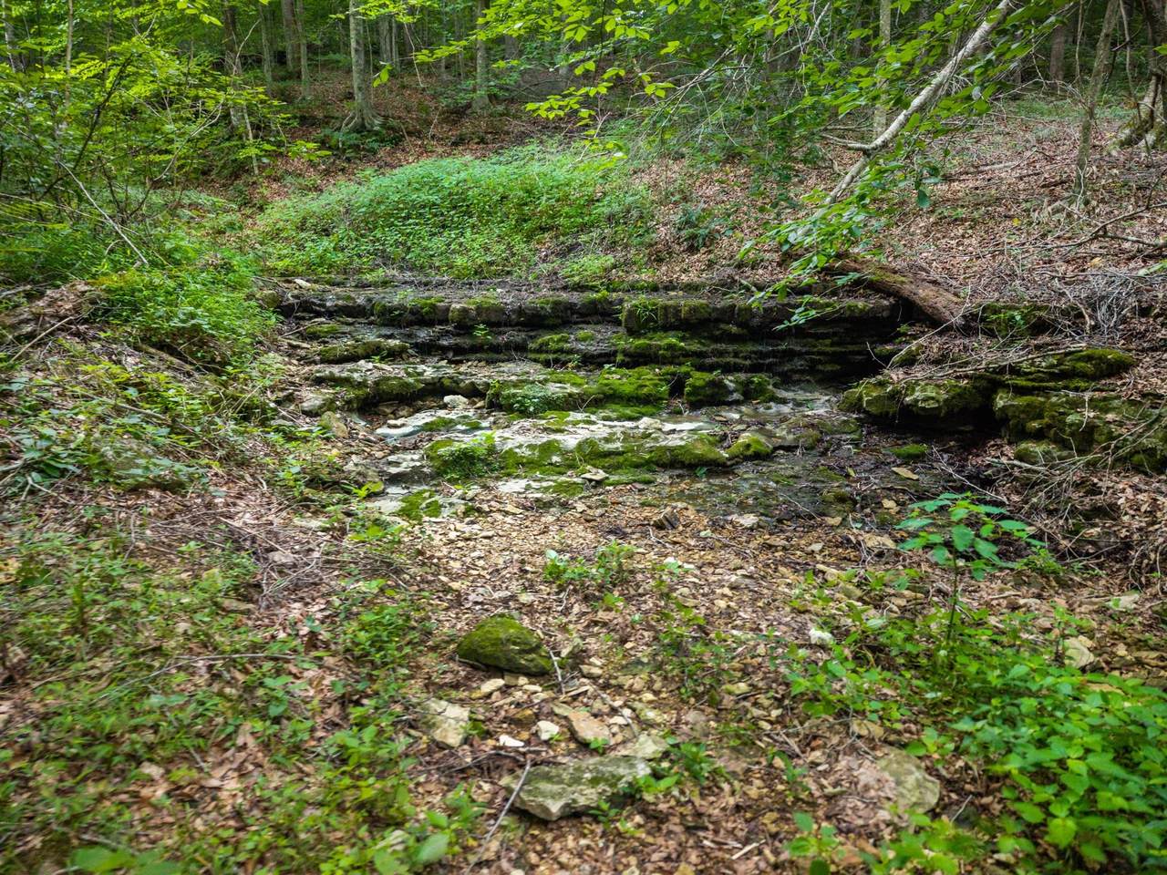 https://bt-photos.global.ssl.fastly.net/nashville/1280_boomver_1_RTC3251221-1.jpg