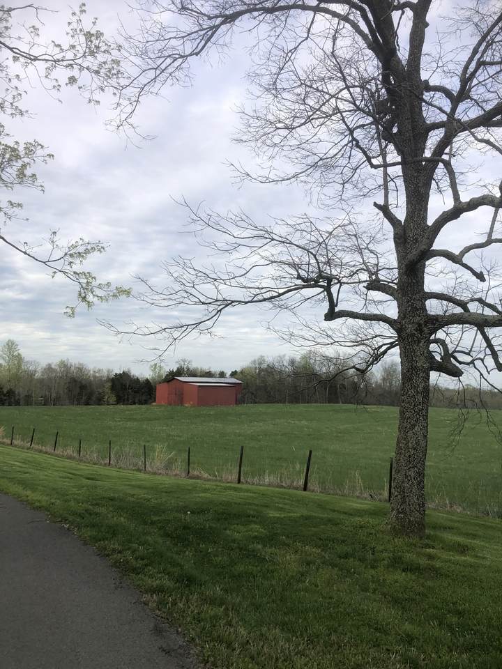 https://bt-photos.global.ssl.fastly.net/nashville/1280_boomver_1_RTC3251269-1.jpg