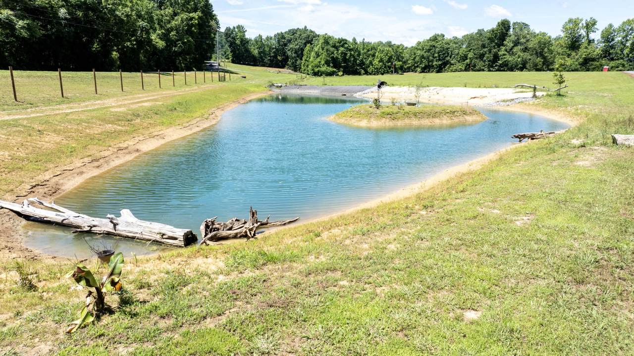 https://bt-photos.global.ssl.fastly.net/nashville/1280_boomver_1_RTC3251397-1.jpg