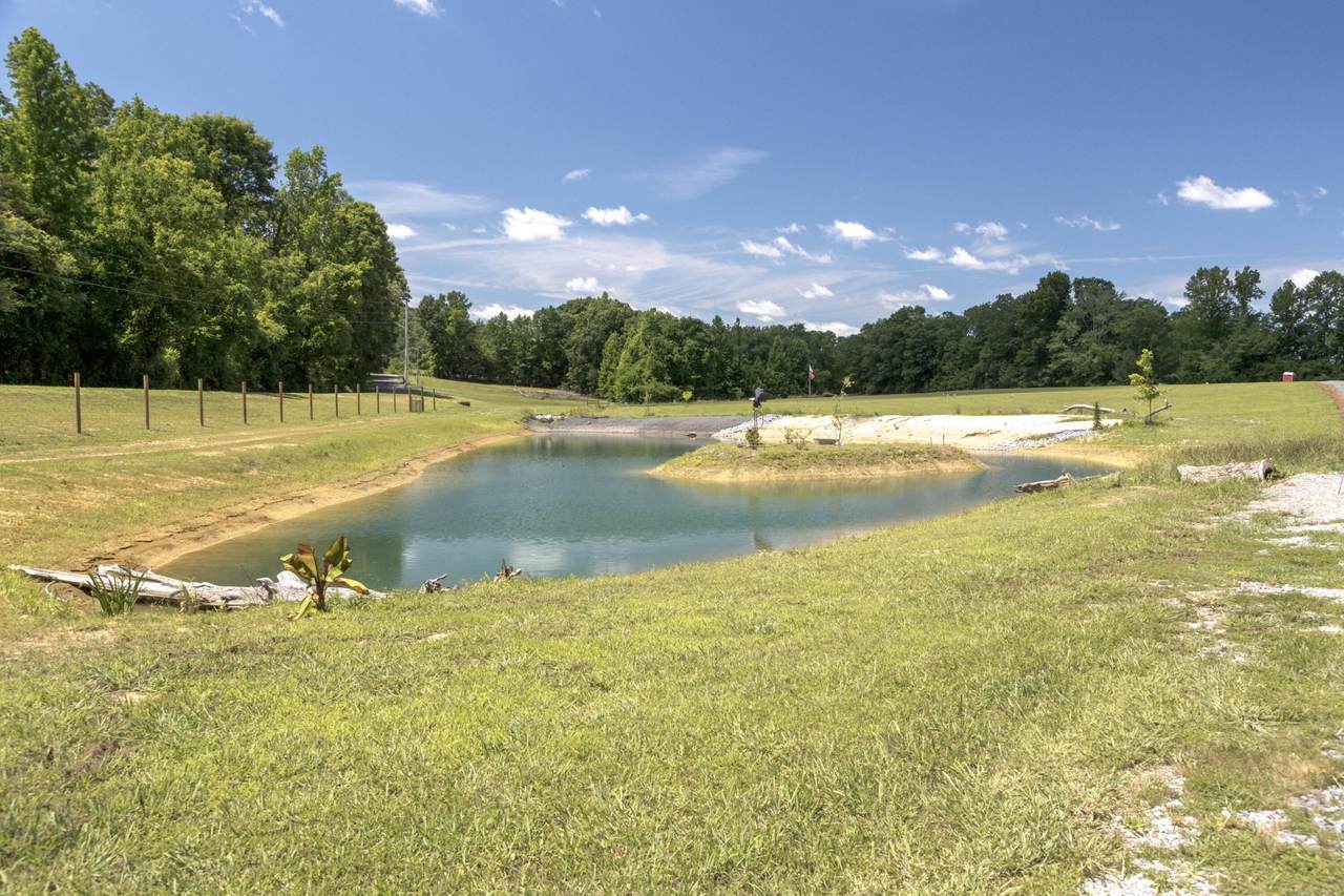 https://bt-photos.global.ssl.fastly.net/nashville/1280_boomver_1_RTC3251397-1.jpg
