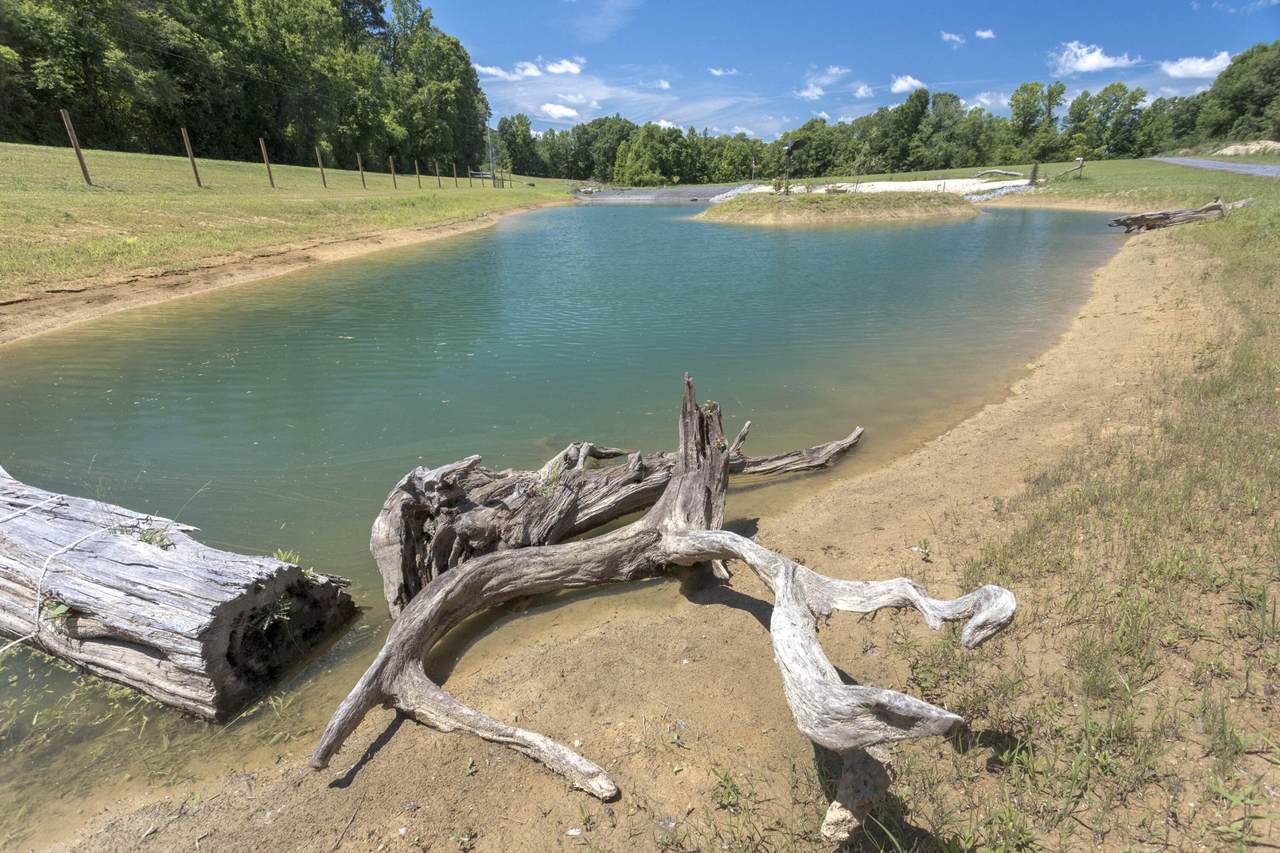 https://bt-photos.global.ssl.fastly.net/nashville/1280_boomver_1_RTC3251397-1.jpg