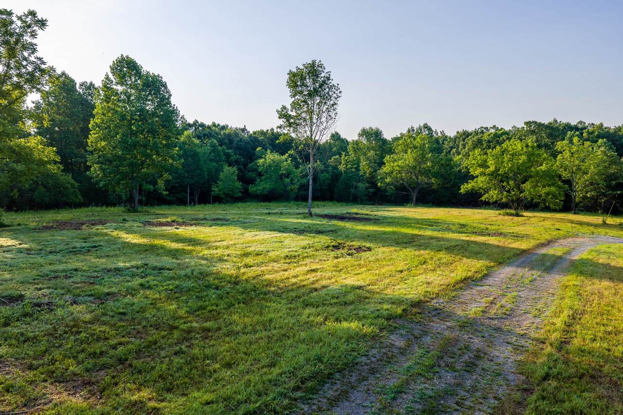 https://bt-photos.global.ssl.fastly.net/nashville/1280_boomver_1_RTC3251523-1.jpg
