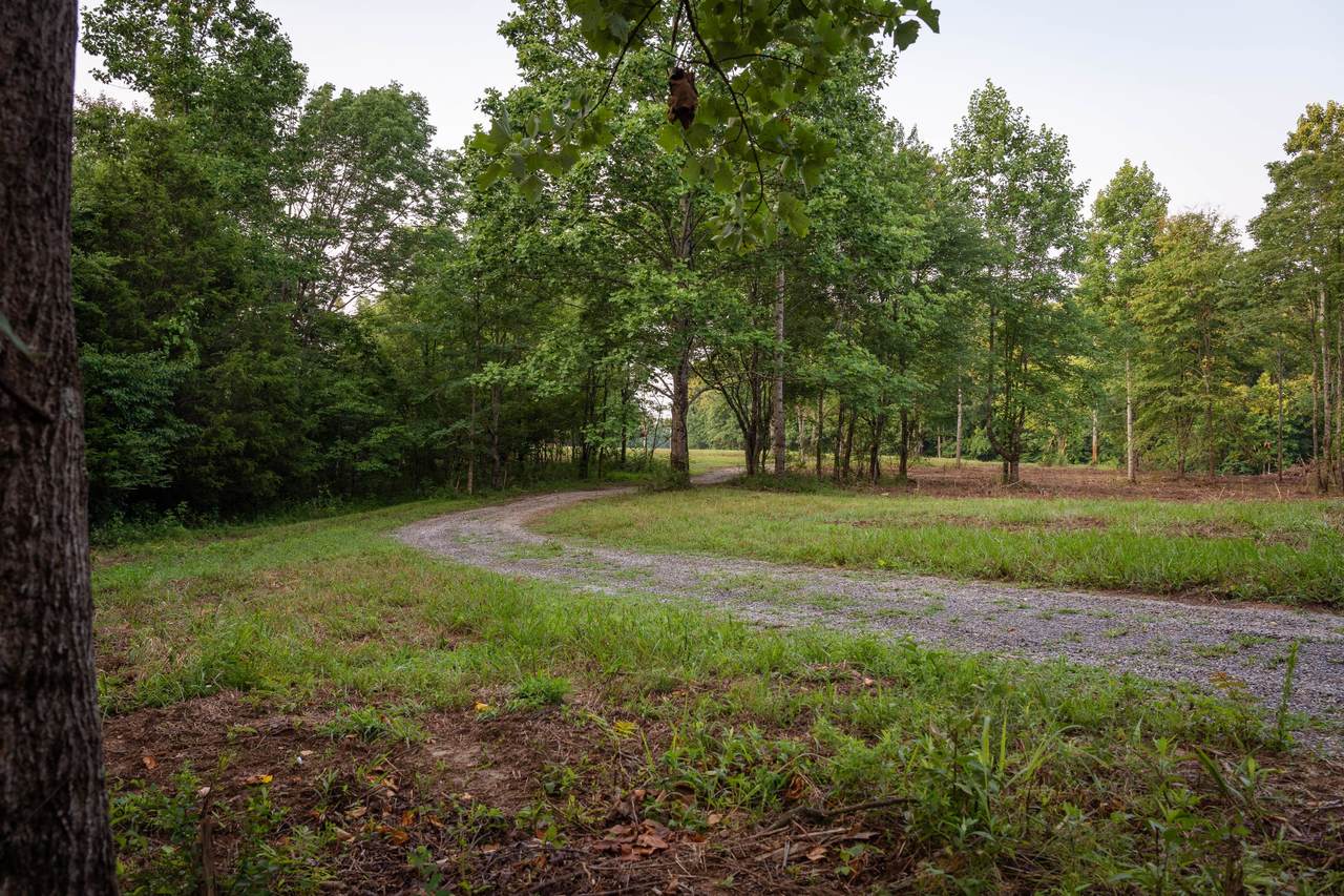 https://bt-photos.global.ssl.fastly.net/nashville/1280_boomver_1_RTC3251523-1.jpg