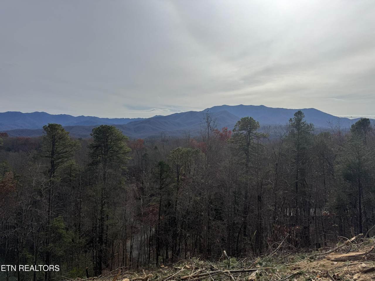 https://bt-photos.global.ssl.fastly.net/nashville/1280_boomver_1_RTC3251652-1.jpg