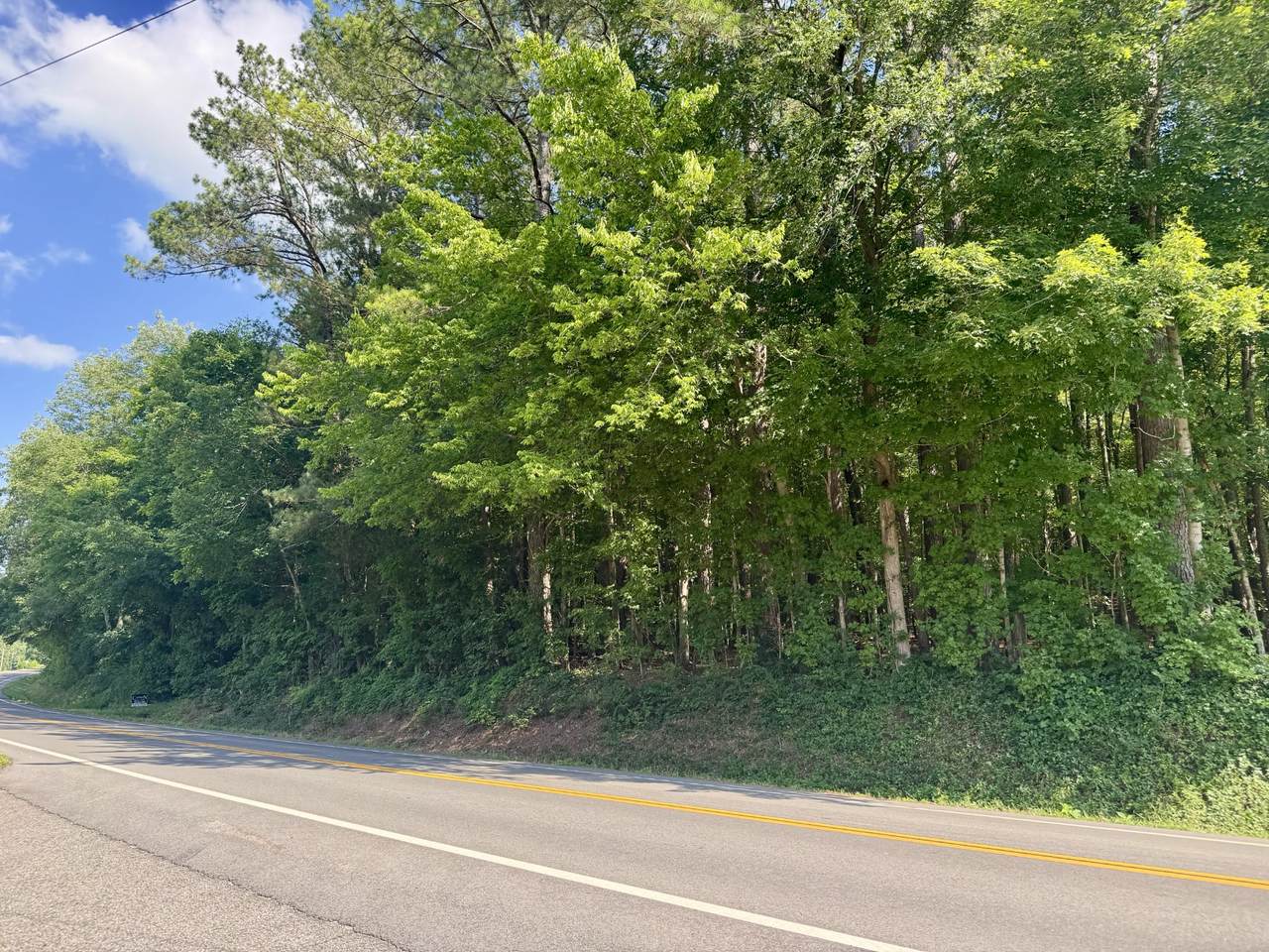 0 Highway 147 - Photo 1