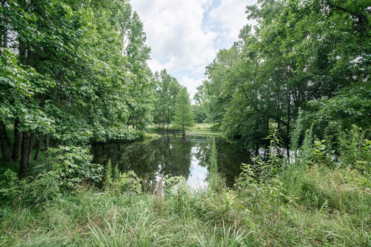 https://bt-photos.global.ssl.fastly.net/nashville/1280_boomver_1_RTC3251830-1.jpg
