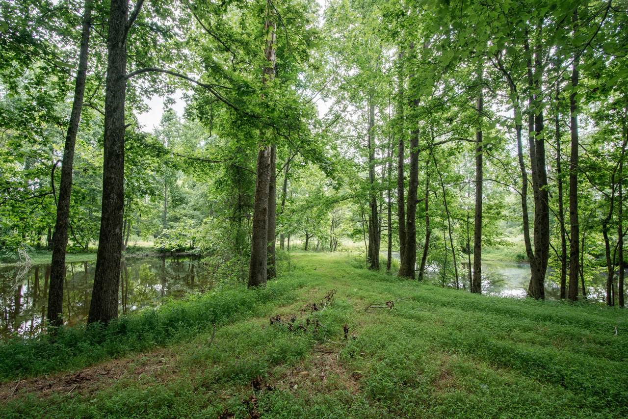 https://bt-photos.global.ssl.fastly.net/nashville/1280_boomver_1_RTC3251830-1.jpg