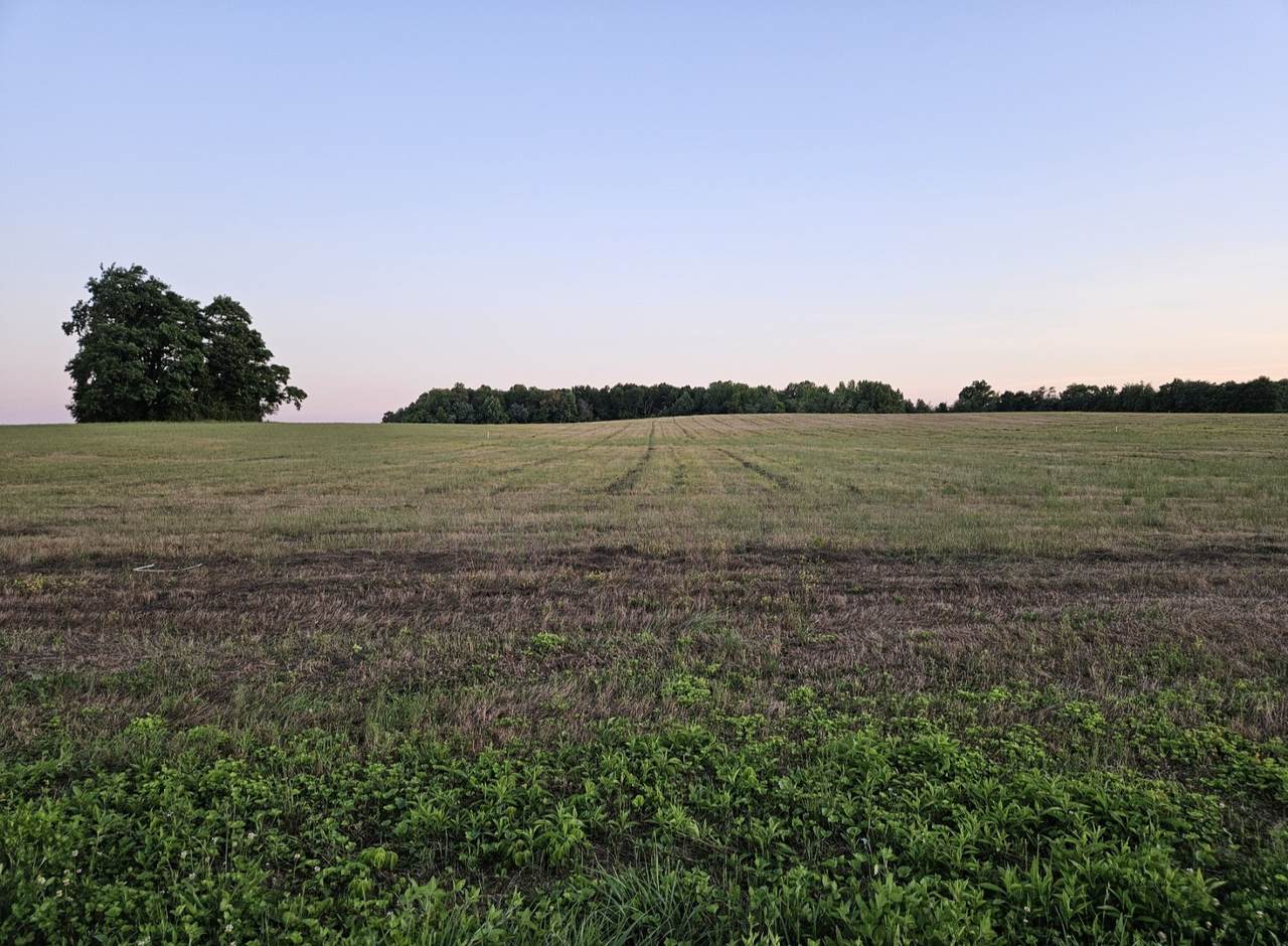 0 Blanton School Rd - Photo 1