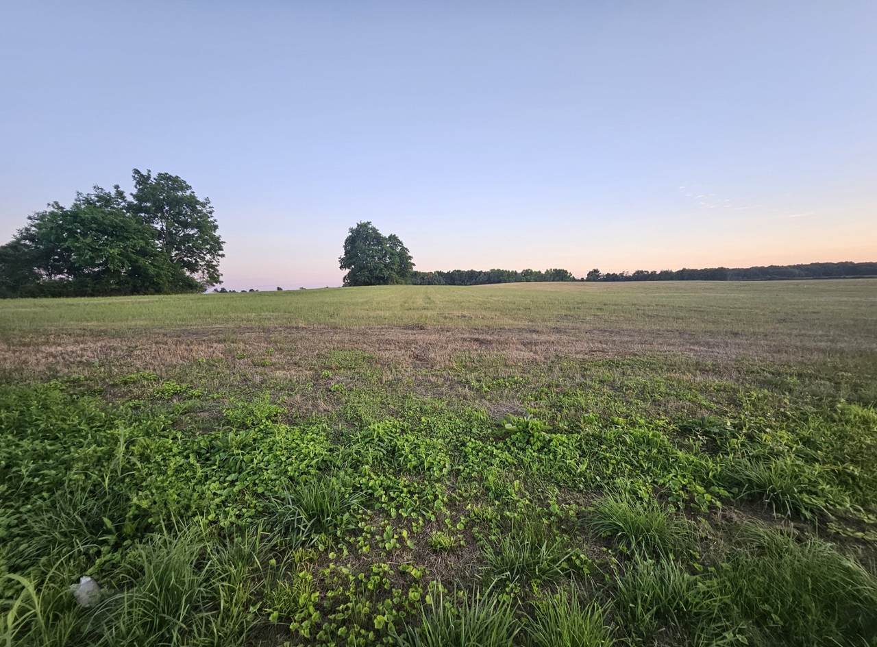 https://bt-photos.global.ssl.fastly.net/nashville/1280_boomver_1_RTC3252034-1.jpg