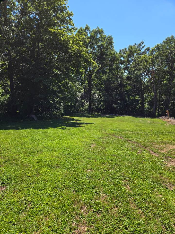 8704 Richards Ln - Photo 1