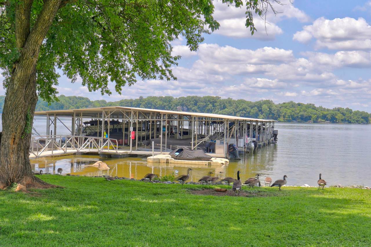 105 Tanasi Shr - Photo 1