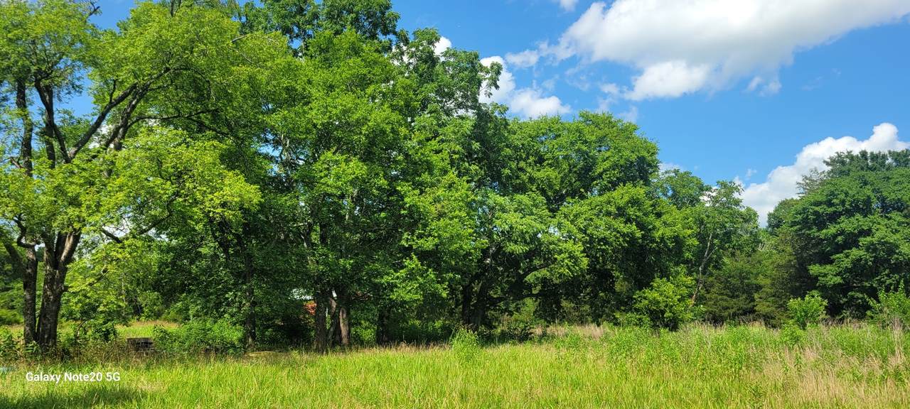 2 Clem Creek Rd - Photo 1