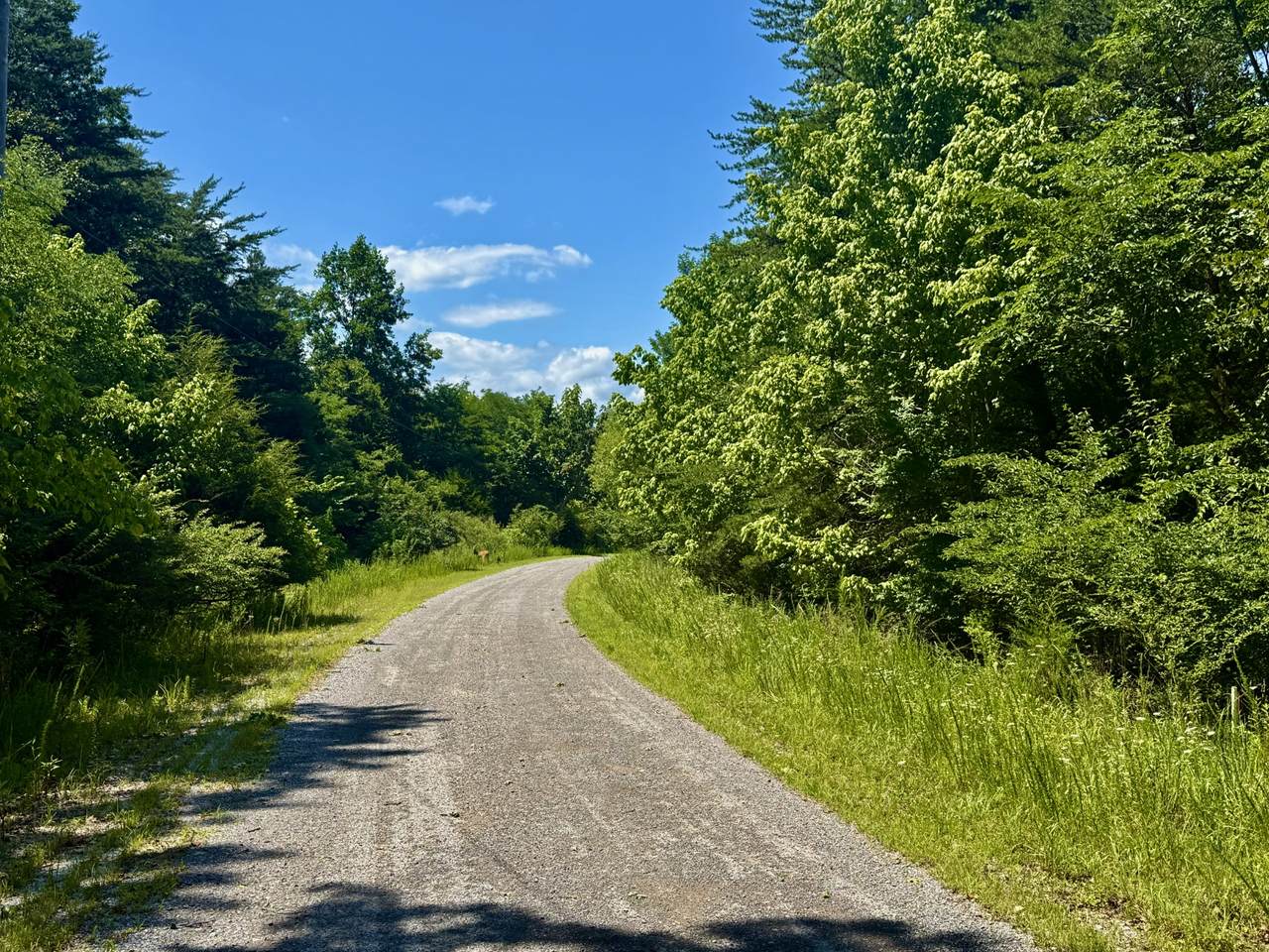 1 Teludachee Trail - Photo 1