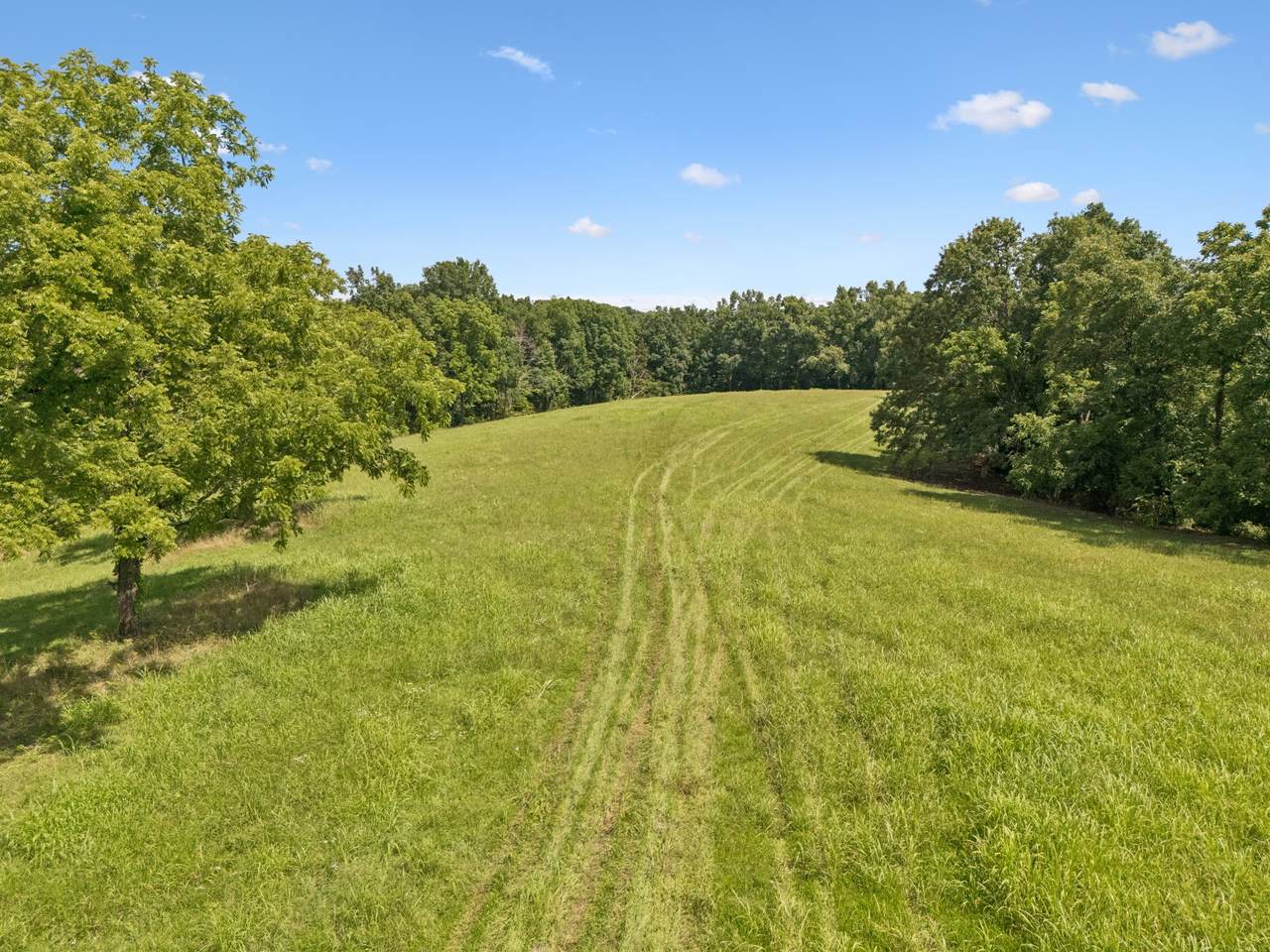 7700 Daugherty Capley Rd - Photo 1