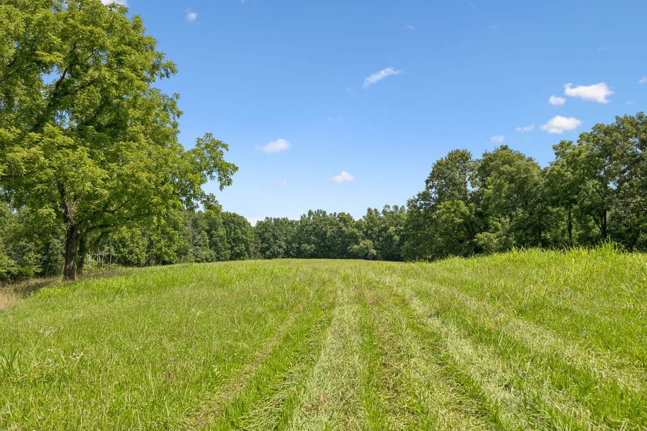 https://bt-photos.global.ssl.fastly.net/nashville/1280_boomver_1_RTC3254913-1.jpg