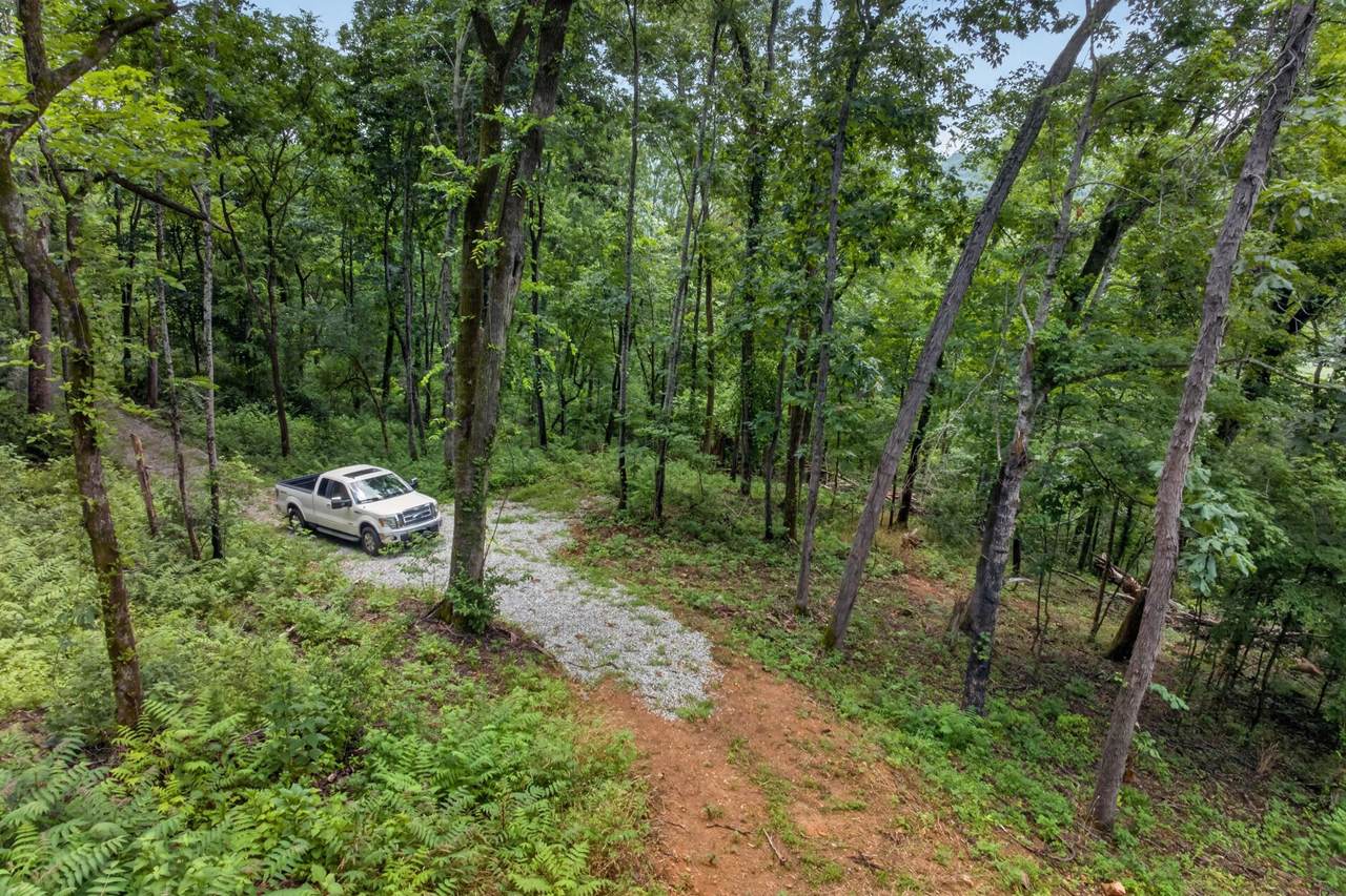 https://bt-photos.global.ssl.fastly.net/nashville/1280_boomver_1_RTC3254982-1.jpg