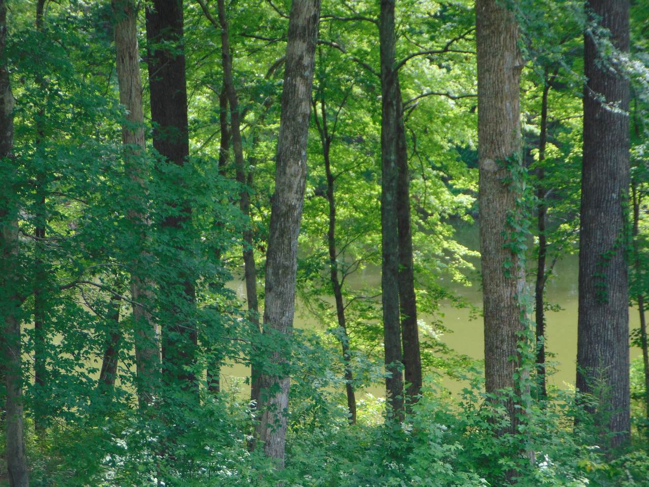 https://bt-photos.global.ssl.fastly.net/nashville/1280_boomver_1_RTC3255529-1.jpg