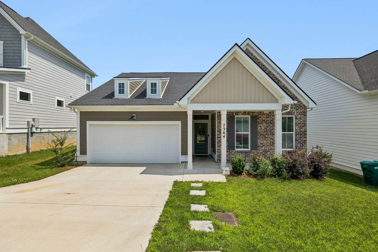 7564 Maggie Dr - Photo 1