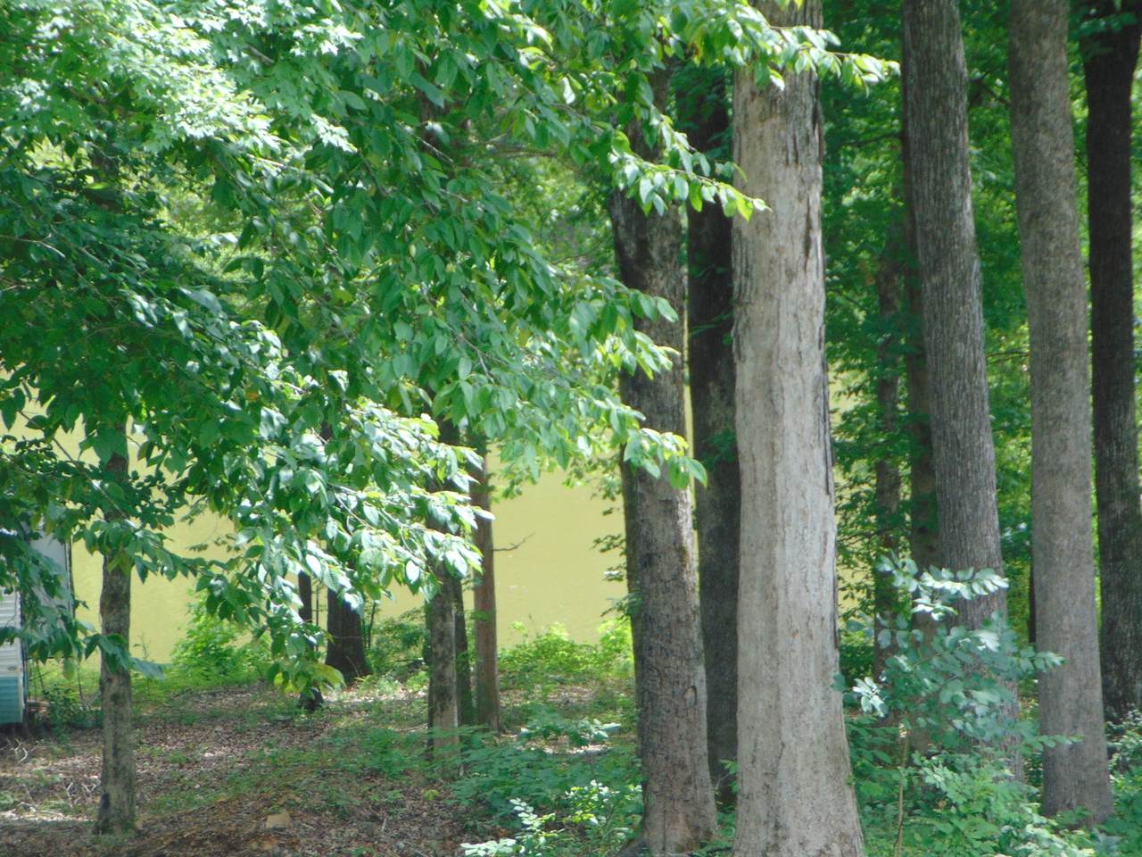 https://bt-photos.global.ssl.fastly.net/nashville/1280_boomver_1_RTC3255677-1.jpg