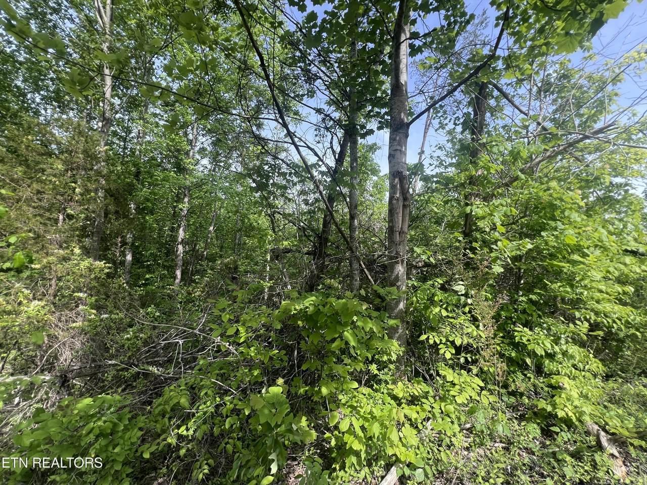 https://bt-photos.global.ssl.fastly.net/nashville/1280_boomver_1_RTC3255766-1.jpg