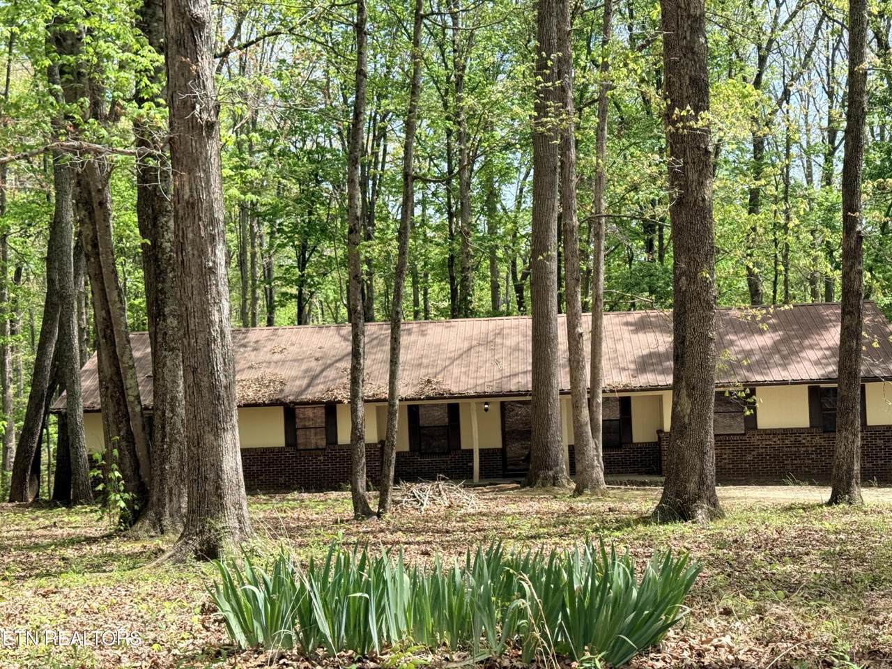 549 Yellow Cliff Estates Rd - Photo 1