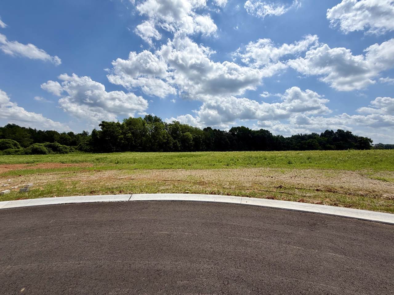 12 Fawn Meadows - Photo 1