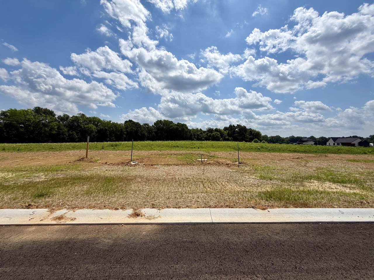 13 Fawn Meadows - Photo 1
