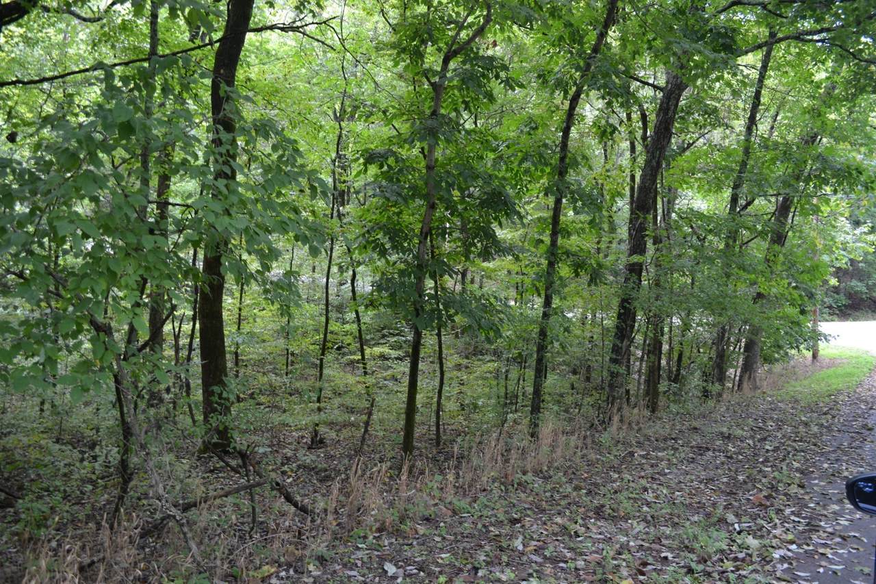 0 Pond Drive - Photo 1