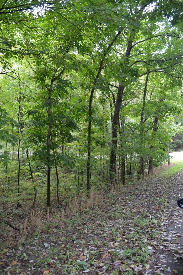 https://bt-photos.global.ssl.fastly.net/nashville/1280_boomver_1_RTC3256077-1.jpg