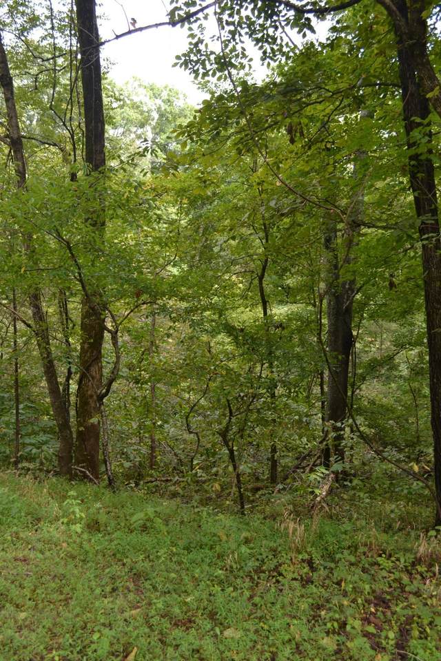 https://bt-photos.global.ssl.fastly.net/nashville/1280_boomver_1_RTC3256077-1.jpg