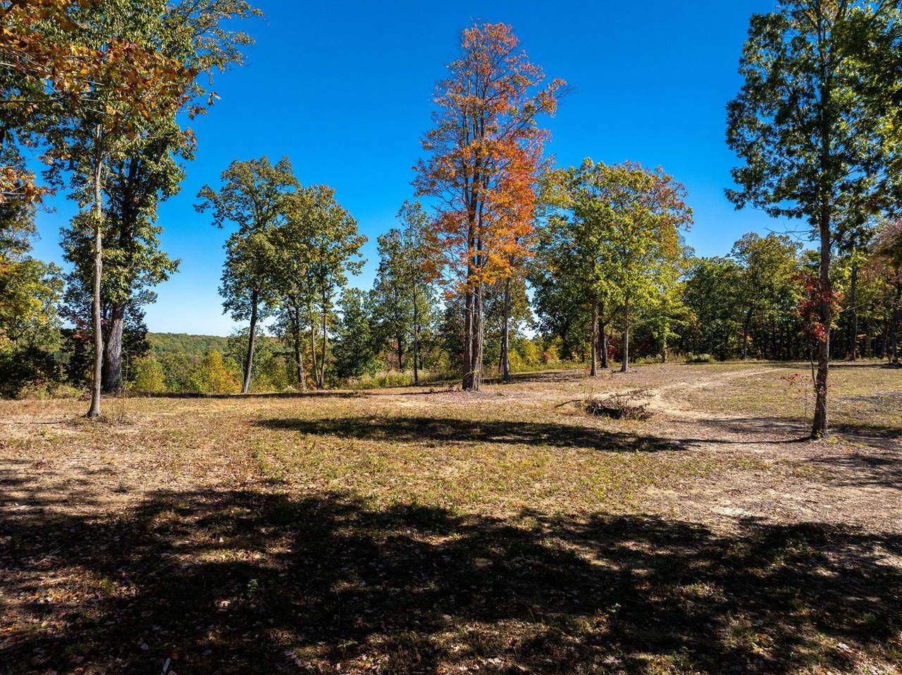482 Coke Bowman Road - Photo 1