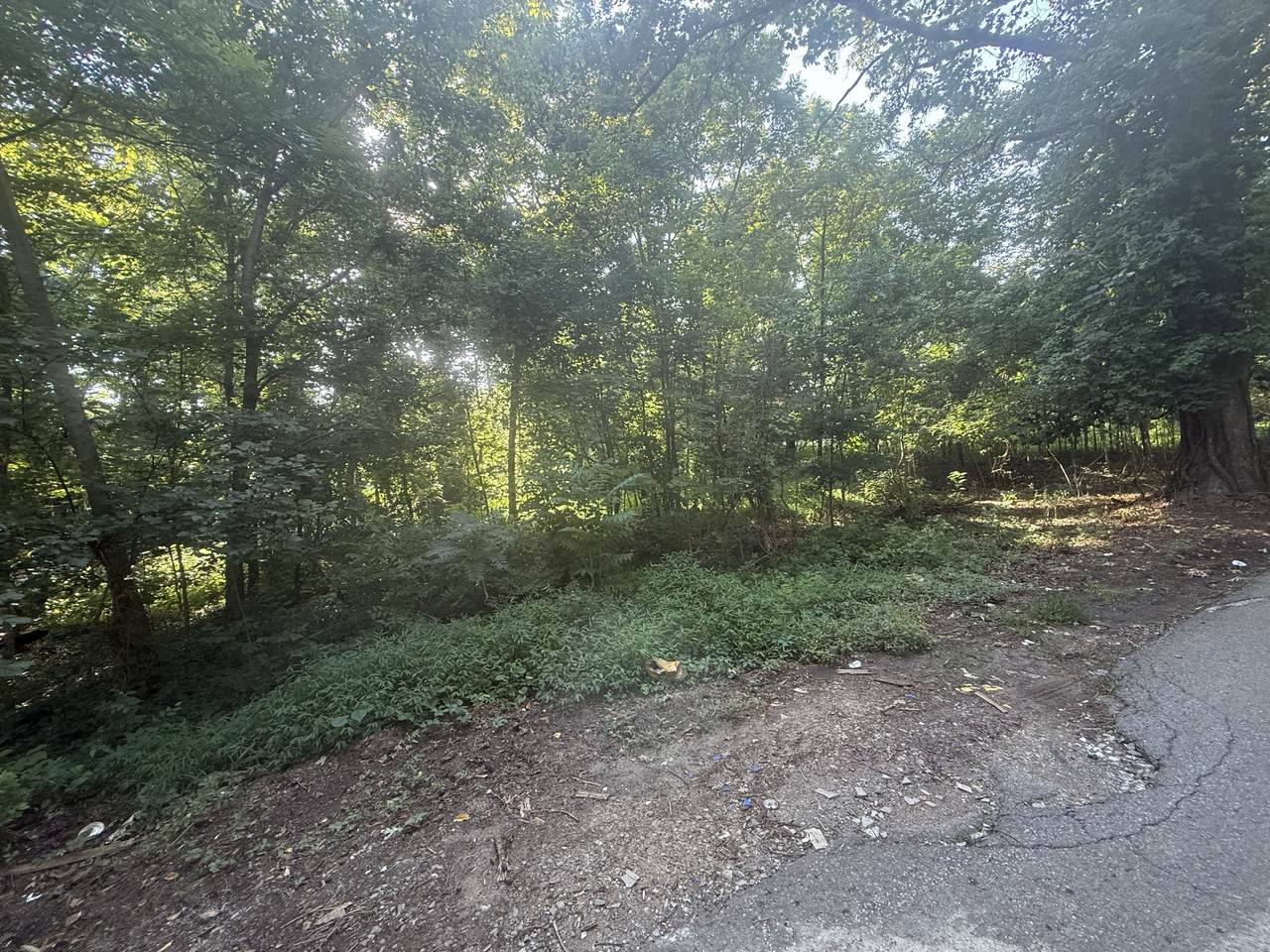 0 Gupton Ln - Photo 1