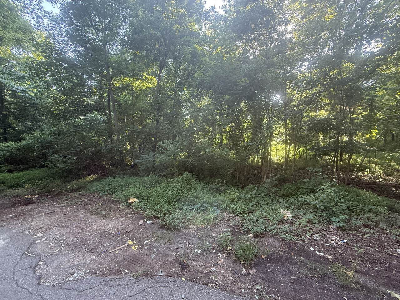 https://bt-photos.global.ssl.fastly.net/nashville/1280_boomver_1_RTC3256205-1.jpg