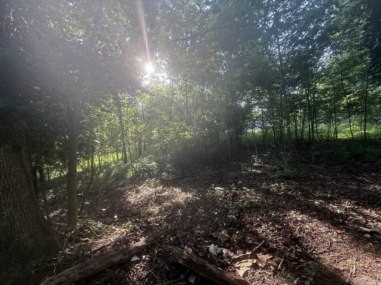 https://bt-photos.global.ssl.fastly.net/nashville/1280_boomver_1_RTC3256205-1.jpg