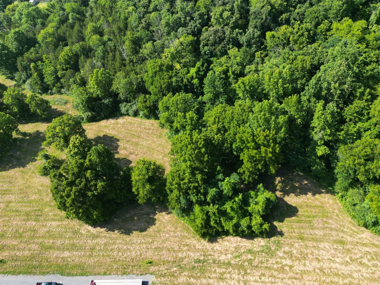 0 Jennings Creek Hwy - Photo 1