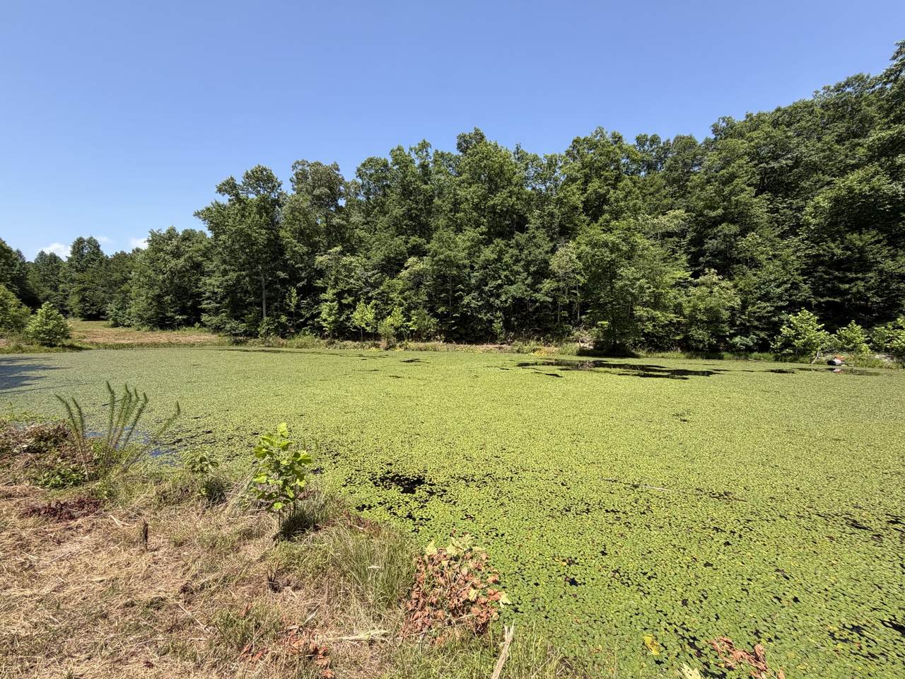 https://bt-photos.global.ssl.fastly.net/nashville/1280_boomver_1_RTC3256363-1.jpg