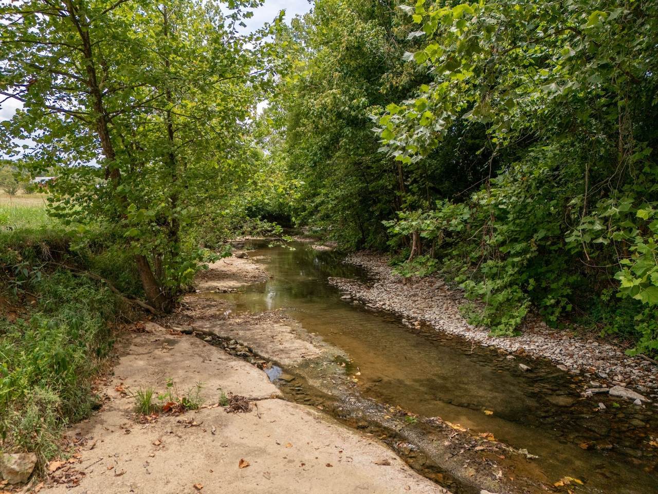 3460 Bradyville Rd - Photo 1
